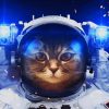 Astronaut Cat paint by numbers