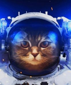 Astronaut Cat paint by numbers