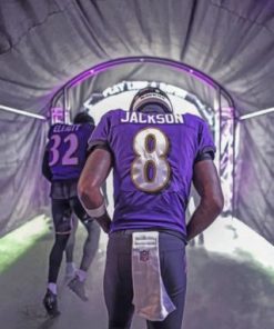 Baltimore Ravens Paint by numbers