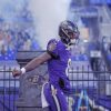 Baltimore Ravens Sport Paint by numbers