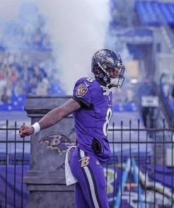 Baltimore Ravens Sport Paint by numbers