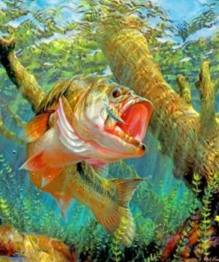 Bass Fish Paint by numbers