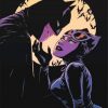 Batman And Catwoman paint by numbers