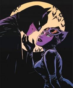 Batman And Catwoman paint by numbers