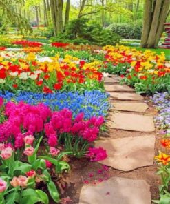Beautiful Garden Paint by numbers