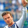Beckham David Paint by numbers
