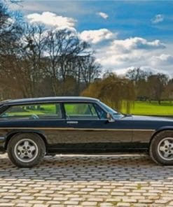 Black Jaguar Xjs Paint by numbers