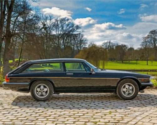 Black Jaguar Xjs Paint by numbers