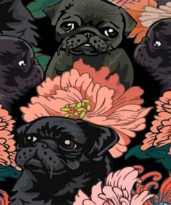 Black Pugs Paint by numbers