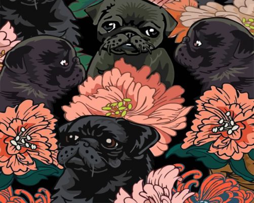 Black Pugs Paint by numbers