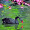 Black Swan Paint by numbers