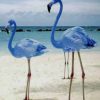 Blue Flamingos paint by numbers