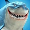 Blue Shark Paint by numbers