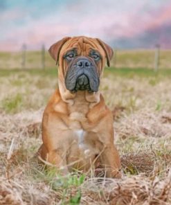 Bullmastiff Dog Paint by numbers