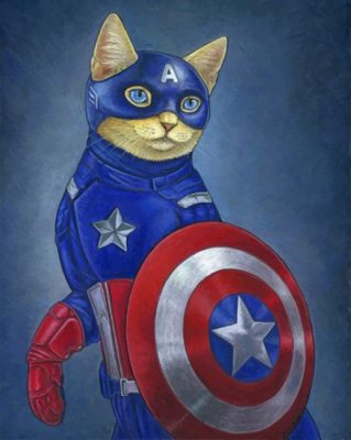 Captain Meow Paint by numbers