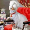 Cat Pedicure Paint by numbers