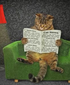 Cat Reading News Paper Paint by numbers