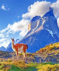 Chile South America Paint by numbers