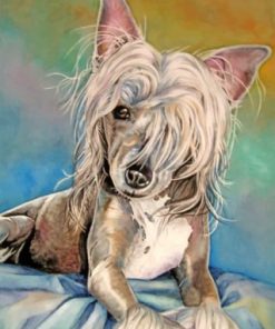 Chinese Crested Art Paint by numbers