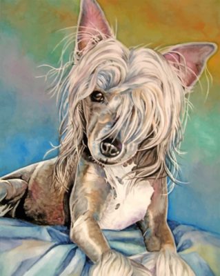 Chinese Crested Art Paint by numbers