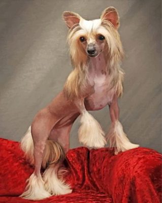 Chinese Dog Paint by numbers