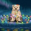 Christmas Polar Bear Paint by numbers