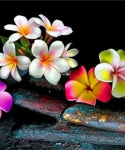 Colorful Frangipani Paint by numbers