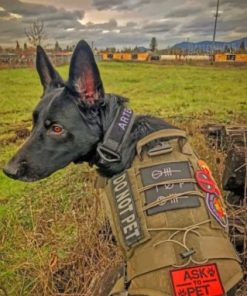 Cool Black German Shepherd paint by numbers
