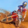 Cool Motorcycle Racer Paint by numbers