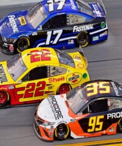 Nascar Racing Cars Paint by numbers
