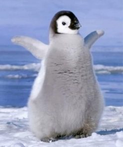 Cute Penguin Paint by numbers