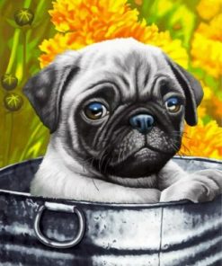 Cute Pug paint by numbers