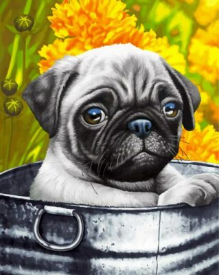 Cute Pug paint by numbers