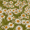 Daisy Field Illustration Paint by numbers