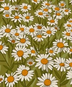 Daisy Field Illustration Paint by numbers