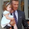 David Beckham And Harper Paint by numbers
