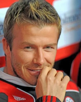 David Beckham Football Player Paint by numbers