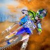 Dirt Biker Paint by numbers