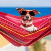 Dog Wearing Sunglasses Paint by numbers