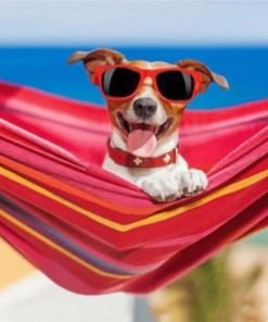 Dog Wearing Sunglasses Paint by numbers