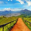 Ecuador Landscape Paint by numbers