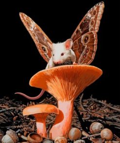 Fantasic Mouse paint by numbers