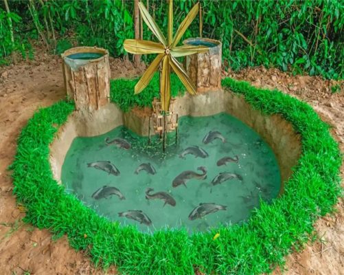 Aesthetic Fish pond Paint by numbers