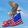 American Eagle Paint by numbers