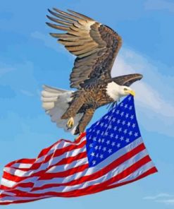 American Eagle Paint by numbers