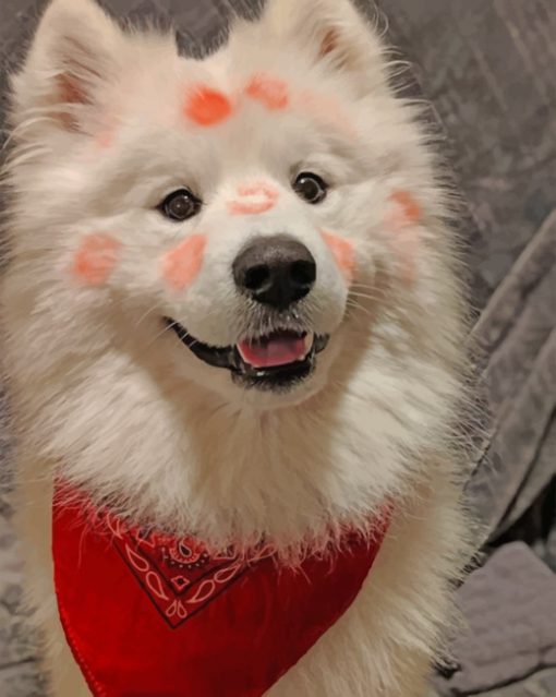 flirty-american-eskimo-dog-paint-by-numbers