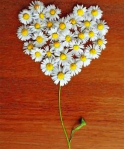Flower Heart Paint by numbers