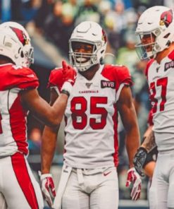 Arizona Cardinals Football Team Paint by numbers