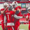Arizona Cardinals Paint by numbers