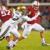 Arizona Cardinals Football Paint by numbers
